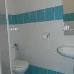 ホテル Hotel**pieniny 2*