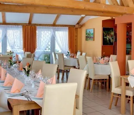 Hotel**pieniny מלון