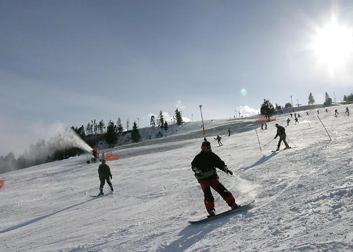 Hotel**pieniny Hotel 2*